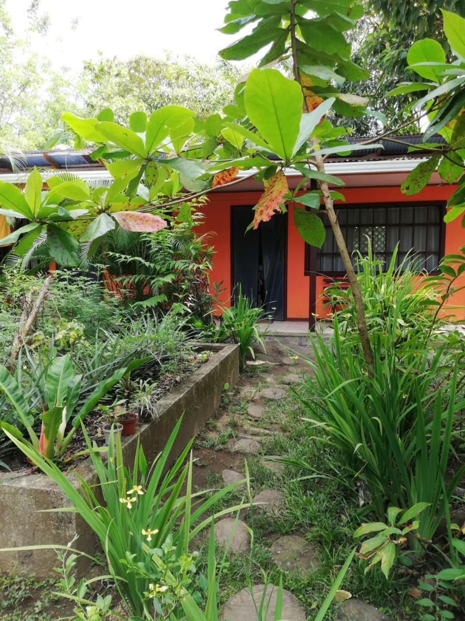 Aracari Garden Hostel Tortuguero Luaran gambar