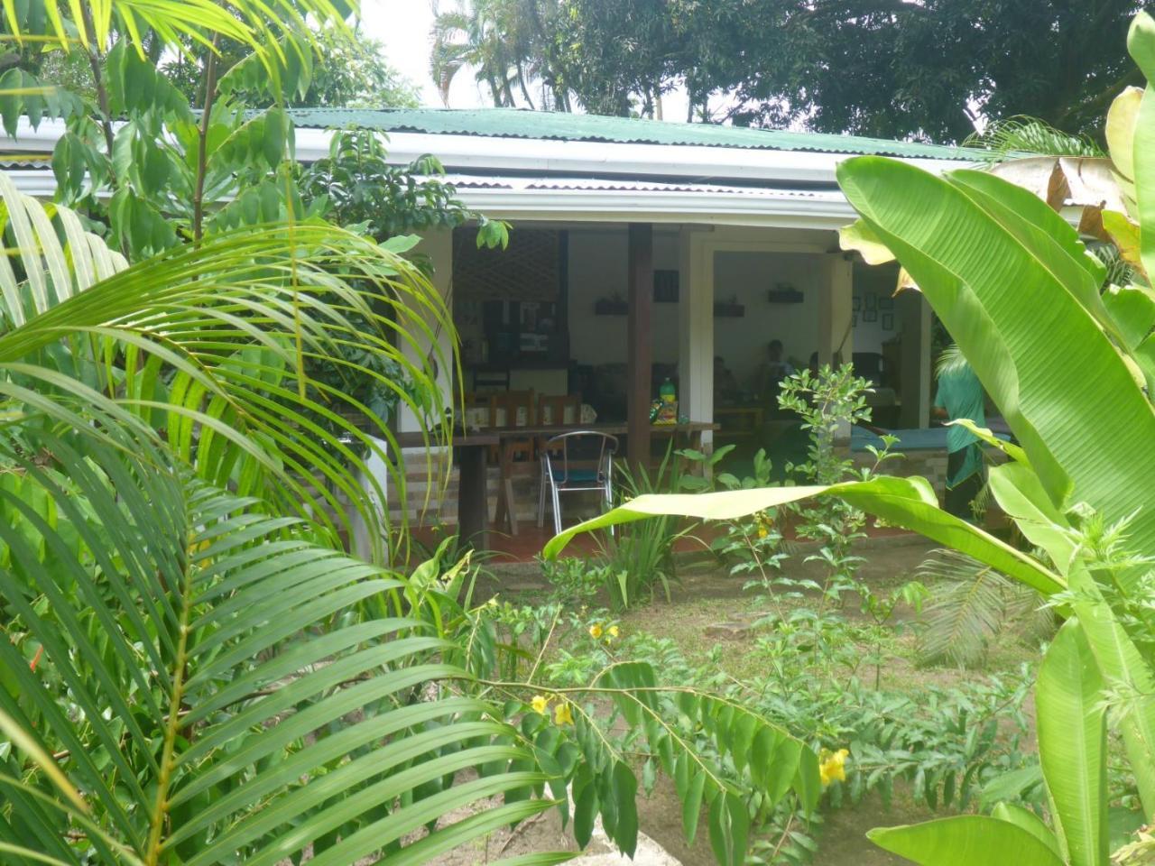 Aracari Garden Hostel Tortuguero Luaran gambar