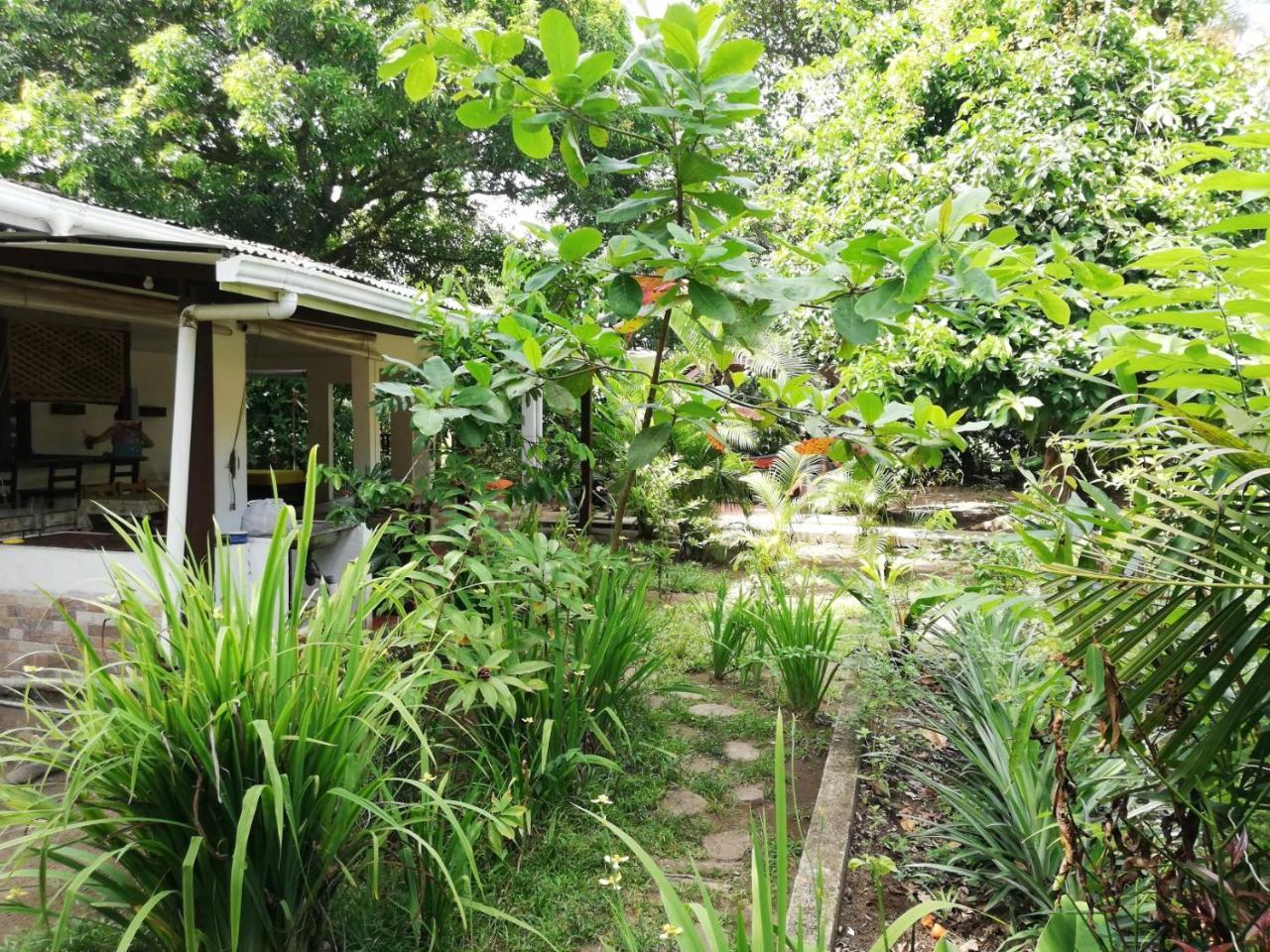 Aracari Garden Hostel Tortuguero Luaran gambar