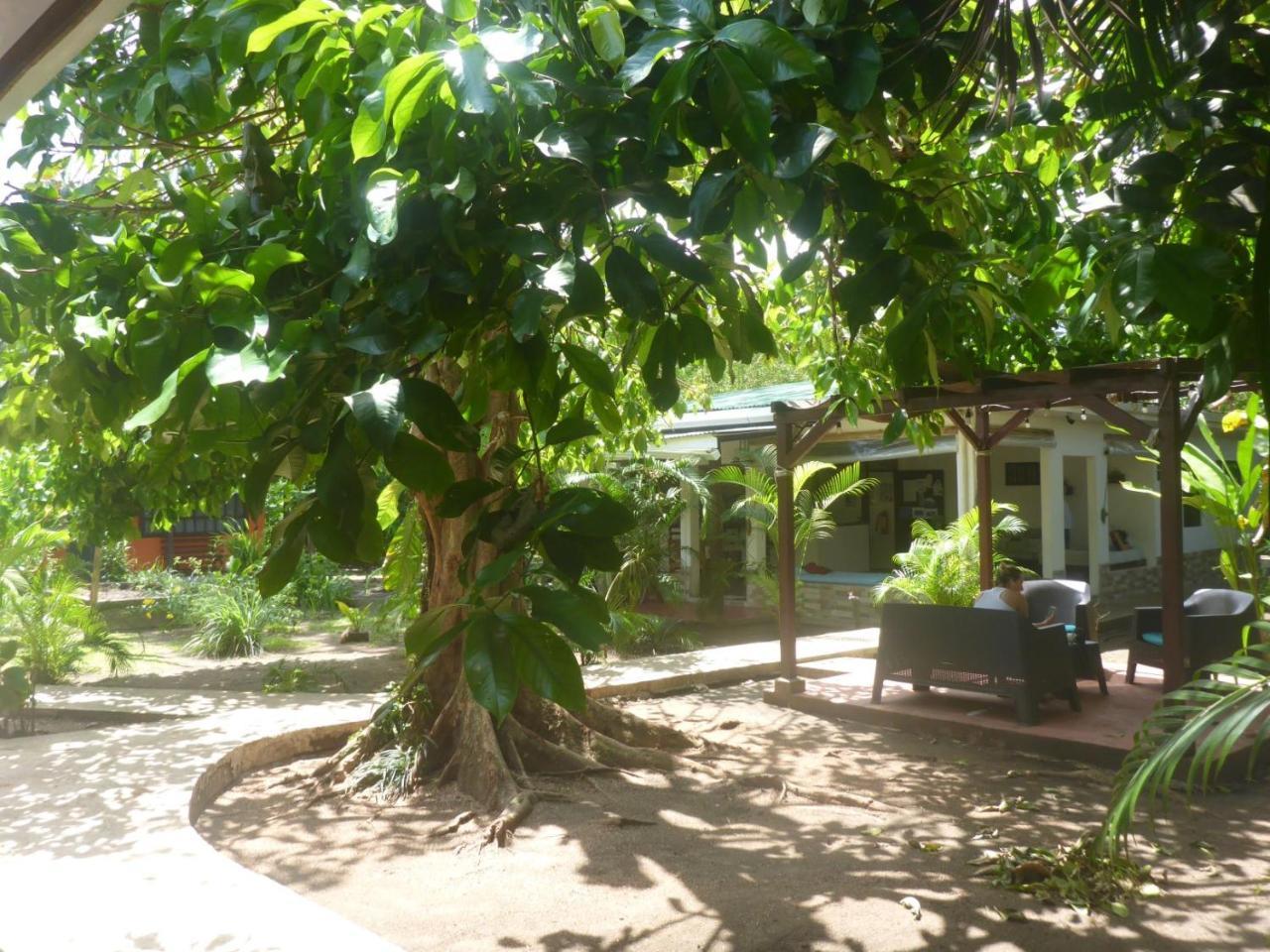 Aracari Garden Hostel Tortuguero Luaran gambar