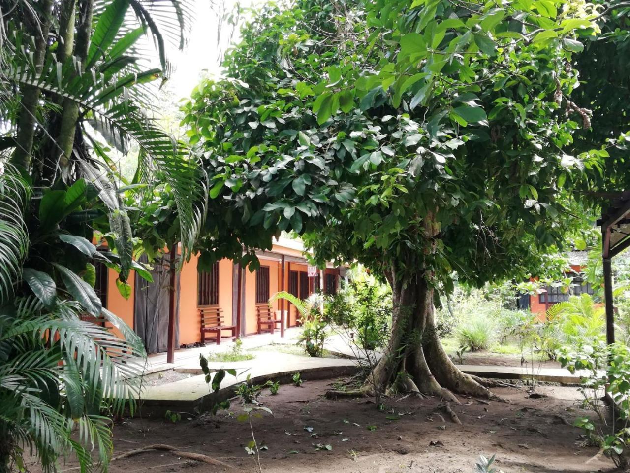 Aracari Garden Hostel Tortuguero Luaran gambar