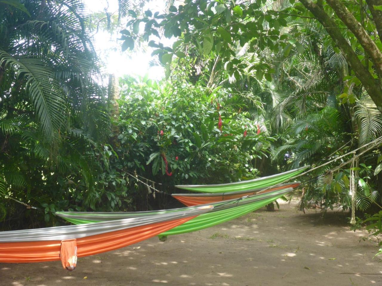 Aracari Garden Hostel Tortuguero Luaran gambar