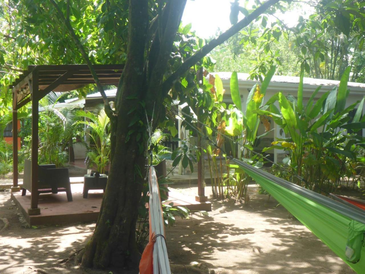 Aracari Garden Hostel Tortuguero Luaran gambar